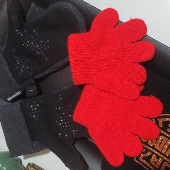 Toddler beanie, toddler mittens and red gloves. Winter gear Toddler - Picture 6 of 16